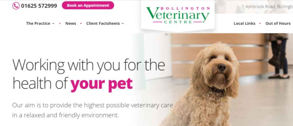 Bollington Veterinary website veterinary website design