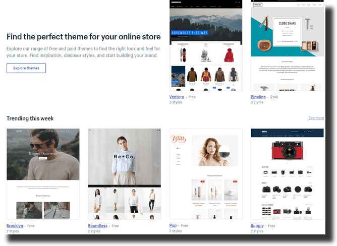 Find the perfect theme for your online store