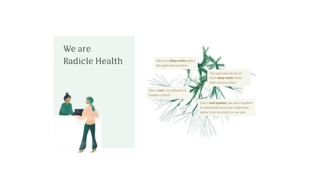 Radicle health