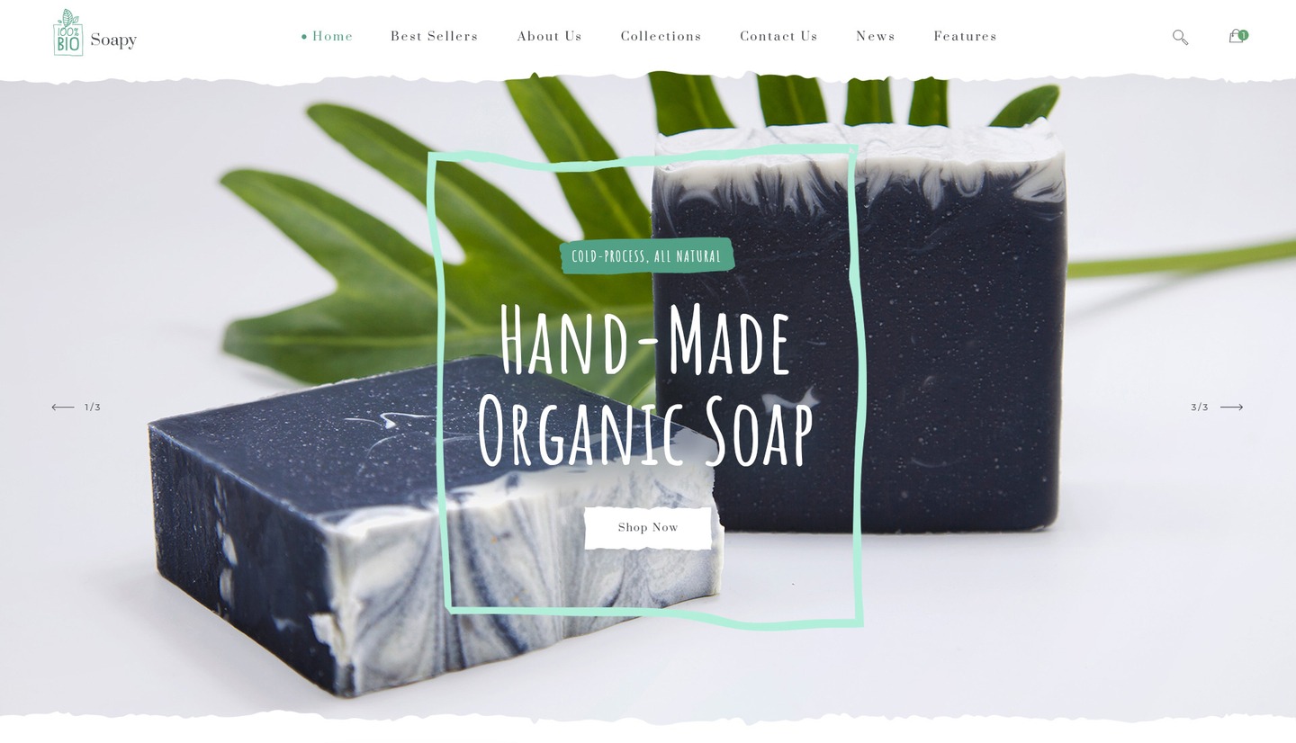 Soapy Home Page Banner