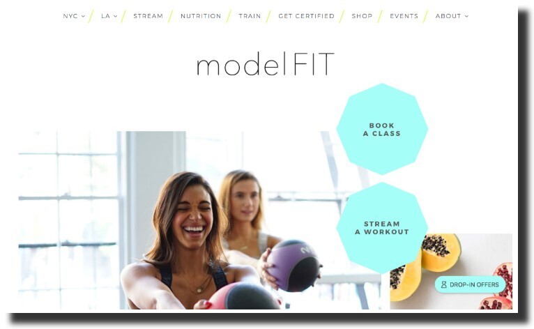 The ModelFIT website design