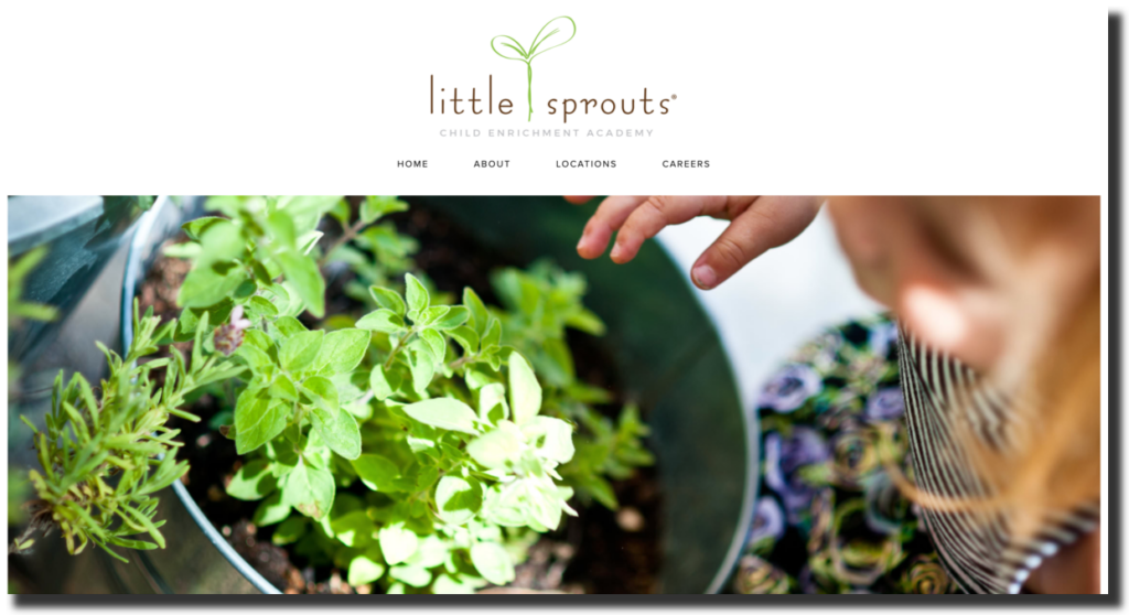 Little sprouts website screenshot school web design