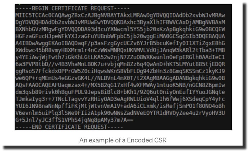 encoded csr