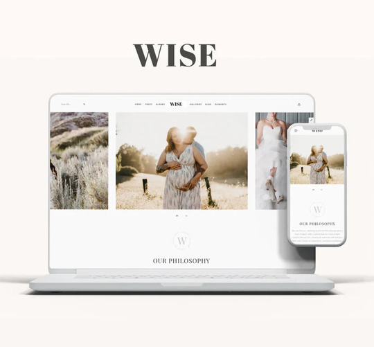 wise squarespace template
